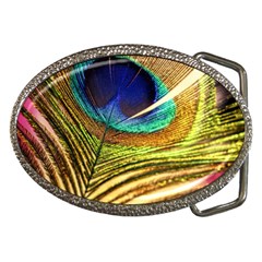 Peacock Feather Colorful Peacock Belt Buckles