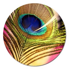 Peacock Feather Colorful Peacock Magnet 5  (Round)