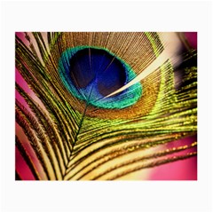 Peacock Feather Colorful Peacock Small Glasses Cloth by Pakrebo