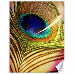 Peacock Feather Colorful Peacock Canvas 12  X 16  by Pakrebo