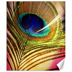 Peacock Feather Colorful Peacock Canvas 20  X 24  by Pakrebo