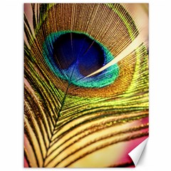 Peacock Feather Colorful Peacock Canvas 36  x 48 