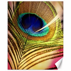 Peacock Feather Colorful Peacock Canvas 11  x 14 