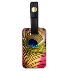 Peacock Feather Colorful Peacock Luggage Tags (One Side) 