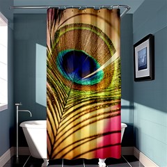 Peacock Feather Colorful Peacock Shower Curtain 36  x 72  (Stall) 