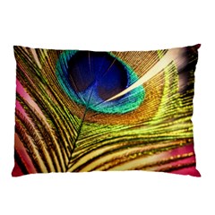 Peacock Feather Colorful Peacock Pillow Case (Two Sides)