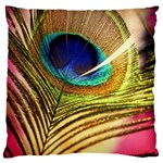 Peacock Feather Colorful Peacock Standard Flano Cushion Case (One Side) Front