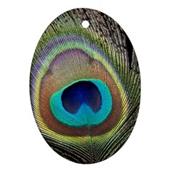 Peacock Feather Close Up Macro Ornament (Oval)