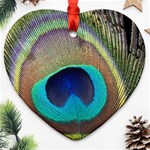 Peacock Feather Close Up Macro Ornament (Heart) Front