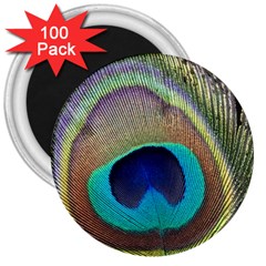 Peacock Feather Close Up Macro 3  Magnets (100 pack)