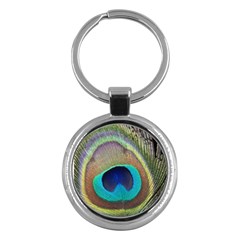 Peacock Feather Close Up Macro Key Chains (round)  by Pakrebo