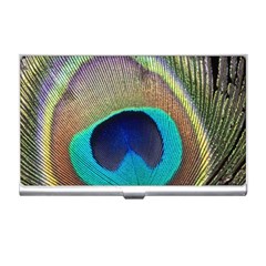 Peacock Feather Close Up Macro Business Card Holder