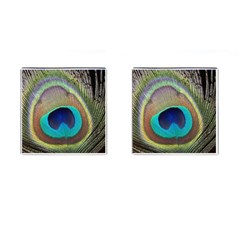 Peacock Feather Close Up Macro Cufflinks (Square)