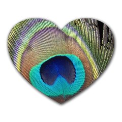 Peacock Feather Close Up Macro Heart Mousepads