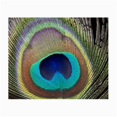 Peacock Feather Close Up Macro Small Glasses Cloth (2-Side)