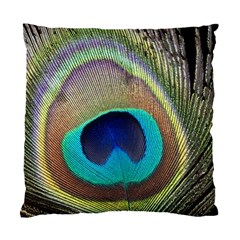 Peacock Feather Close Up Macro Standard Cushion Case (One Side)