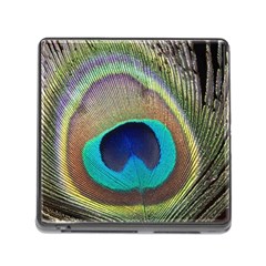 Peacock Feather Close Up Macro Memory Card Reader (Square 5 Slot)