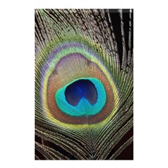 Peacock Feather Close Up Macro Shower Curtain 48  x 72  (Small) 