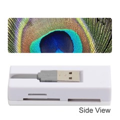 Peacock Feather Close Up Macro Memory Card Reader (Stick)