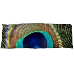 Peacock Feather Close Up Macro Body Pillow Case (Dakimakura)