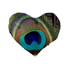 Peacock Feather Close Up Macro Standard 16  Premium Flano Heart Shape Cushions