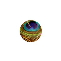 Peacock Feather Bird Colorful 1  Mini Buttons by Pakrebo