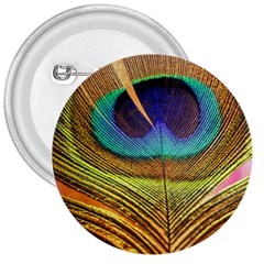 Peacock Feather Bird Colorful 3  Buttons by Pakrebo