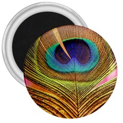 Peacock Feather Bird Colorful 3  Magnets by Pakrebo