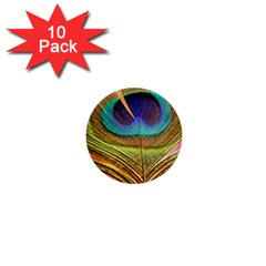 Peacock Feather Bird Colorful 1  Mini Buttons (10 Pack)  by Pakrebo