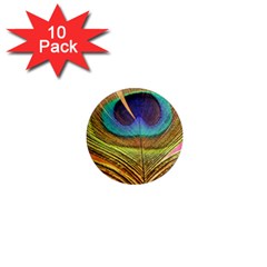 Peacock Feather Bird Colorful 1  Mini Magnet (10 Pack)  by Pakrebo