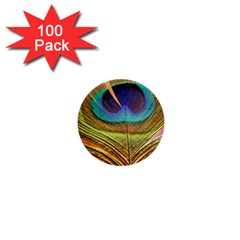 Peacock Feather Bird Colorful 1  Mini Buttons (100 Pack)  by Pakrebo