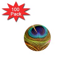 Peacock Feather Bird Colorful 1  Mini Magnets (100 Pack)  by Pakrebo