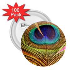 Peacock Feather Bird Colorful 2 25  Buttons (100 Pack)  by Pakrebo