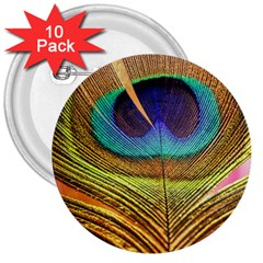 Peacock Feather Bird Colorful 3  Buttons (10 Pack)  by Pakrebo