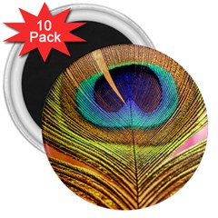 Peacock Feather Bird Colorful 3  Magnets (10 Pack)  by Pakrebo