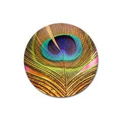 Peacock Feather Bird Colorful Magnet 3  (round) by Pakrebo