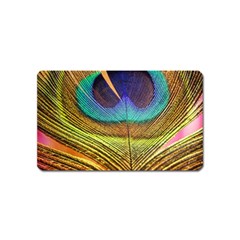 Peacock Feather Bird Colorful Magnet (name Card) by Pakrebo