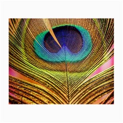 Peacock Feather Bird Colorful Small Glasses Cloth by Pakrebo