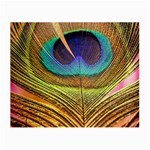 Peacock Feather Bird Colorful Small Glasses Cloth Front