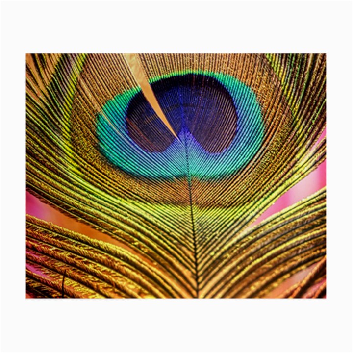 Peacock Feather Bird Colorful Small Glasses Cloth