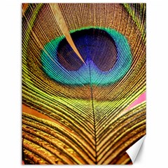 Peacock Feather Bird Colorful Canvas 12  X 16  by Pakrebo