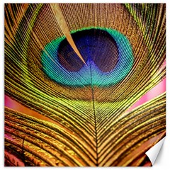 Peacock Feather Bird Colorful Canvas 20  X 20  by Pakrebo