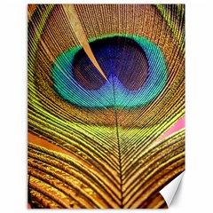 Peacock Feather Bird Colorful Canvas 18  X 24  by Pakrebo