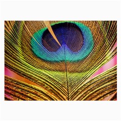 Peacock Feather Bird Colorful Large Glasses Cloth by Pakrebo