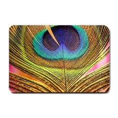 Peacock Feather Bird Colorful Small Doormat  by Pakrebo