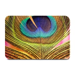 Peacock Feather Bird Colorful Plate Mats by Pakrebo