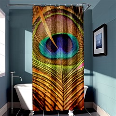 Peacock Feather Bird Colorful Shower Curtain 36  X 72  (stall)  by Pakrebo