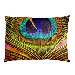 Peacock Feather Bird Colorful Pillow Case (two Sides) by Pakrebo