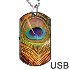 Peacock Feather Bird Colorful Dog Tag Usb Flash (two Sides) by Pakrebo