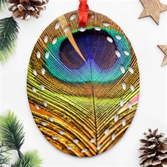 Peacock Feather Bird Colorful Oval Filigree Ornament (two Sides) by Pakrebo